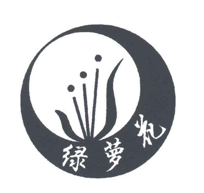 绿萝花