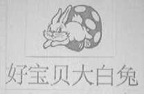 好宝贝大白兔