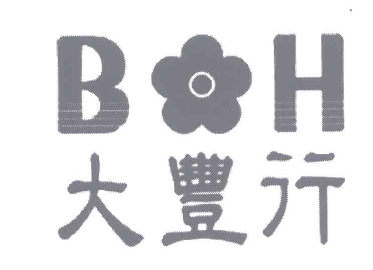 大丰行;BH