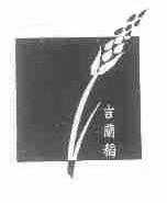吉兰稻