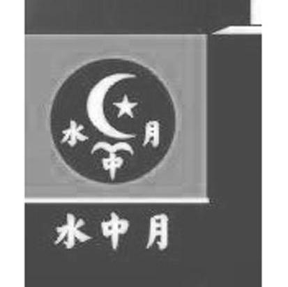 水中月