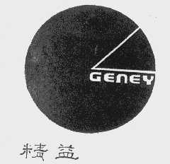 精益   GENEY