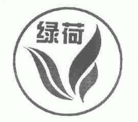 绿荷