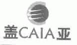 盖亚;CAIA