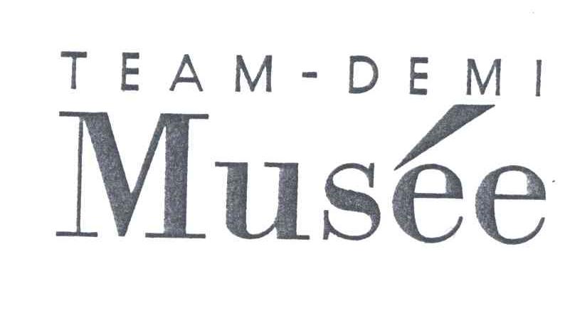 TEAM-DEMI MUSEE