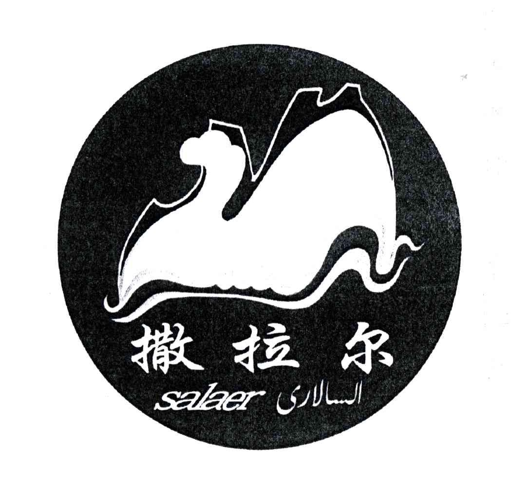 撒拉尔;SALEER
