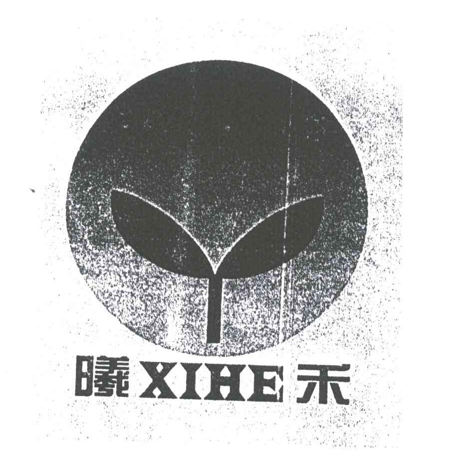 曦禾
