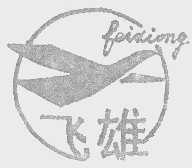 飞雄