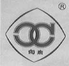 向东