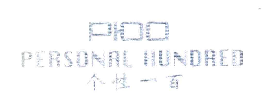 个性一百 PERSONAL HUNDRED P 100