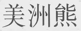 美洲熊