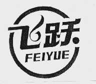飞跃