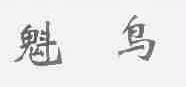 魁鸟