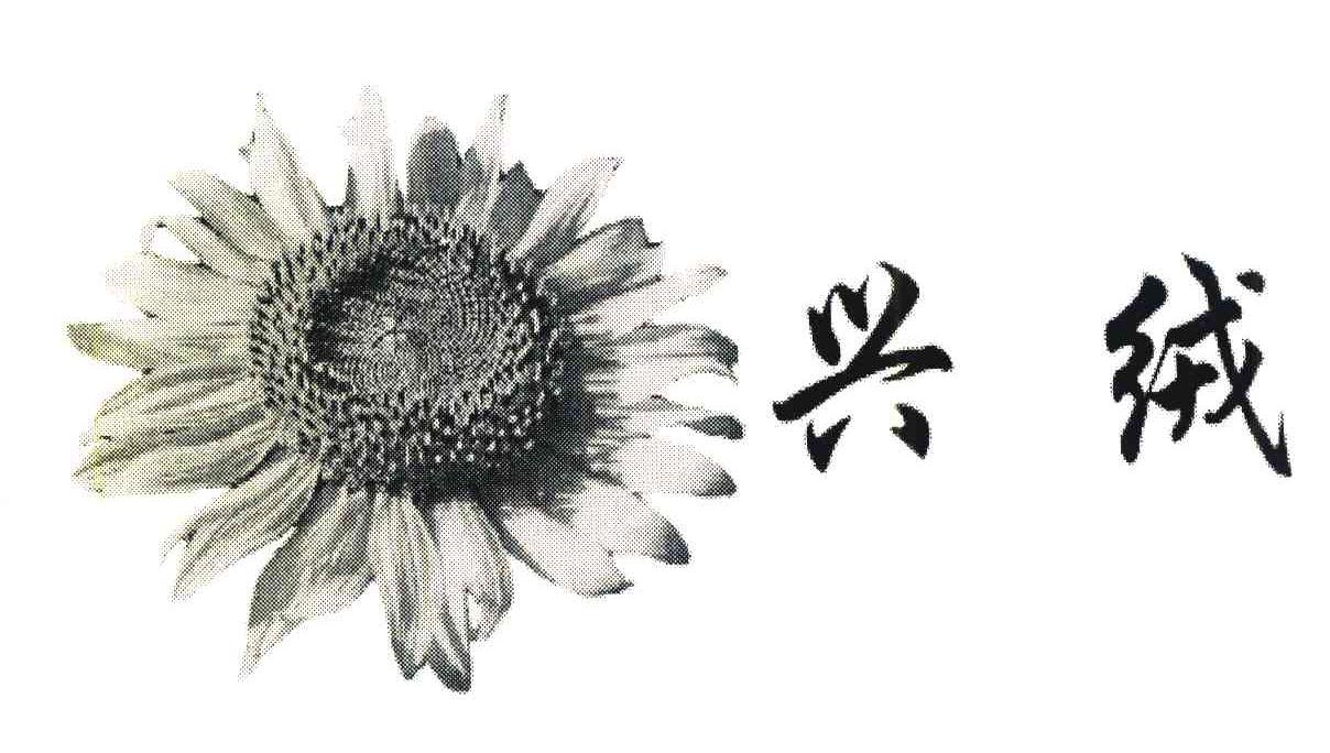 兴绒