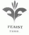 菲依斯特;FEAIST