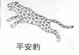 平安豹