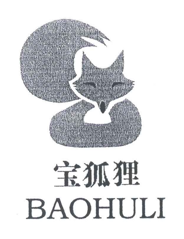 宝狐狸