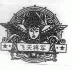 飞天将军
