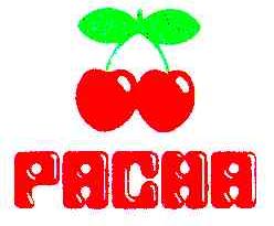 PACHA