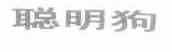 聪明狗