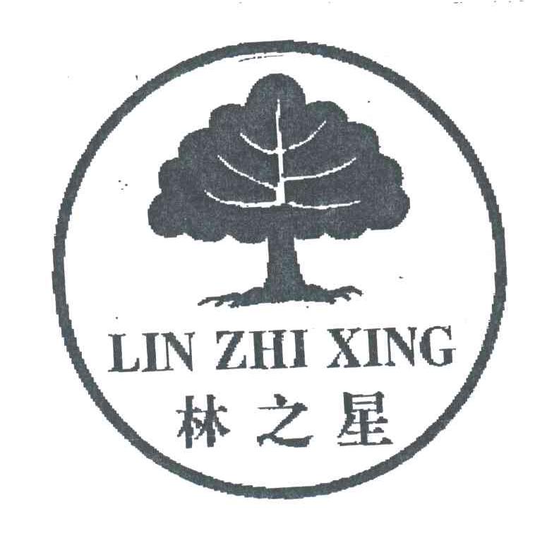 林之星