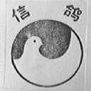 信鸽