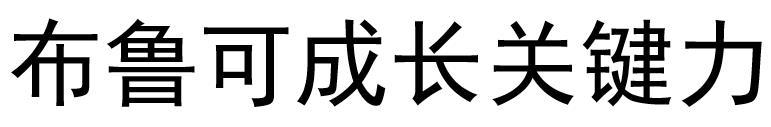 布鲁可成长关键力