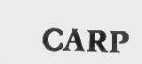 CARP