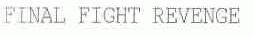 FINAL FIGHT REVEN GE