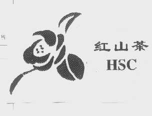 红山茶