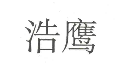 浩鹰
