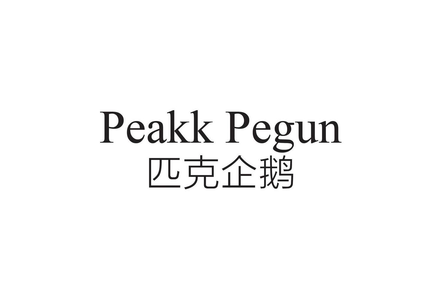 匹克企鹅 PEAKK PEGUN