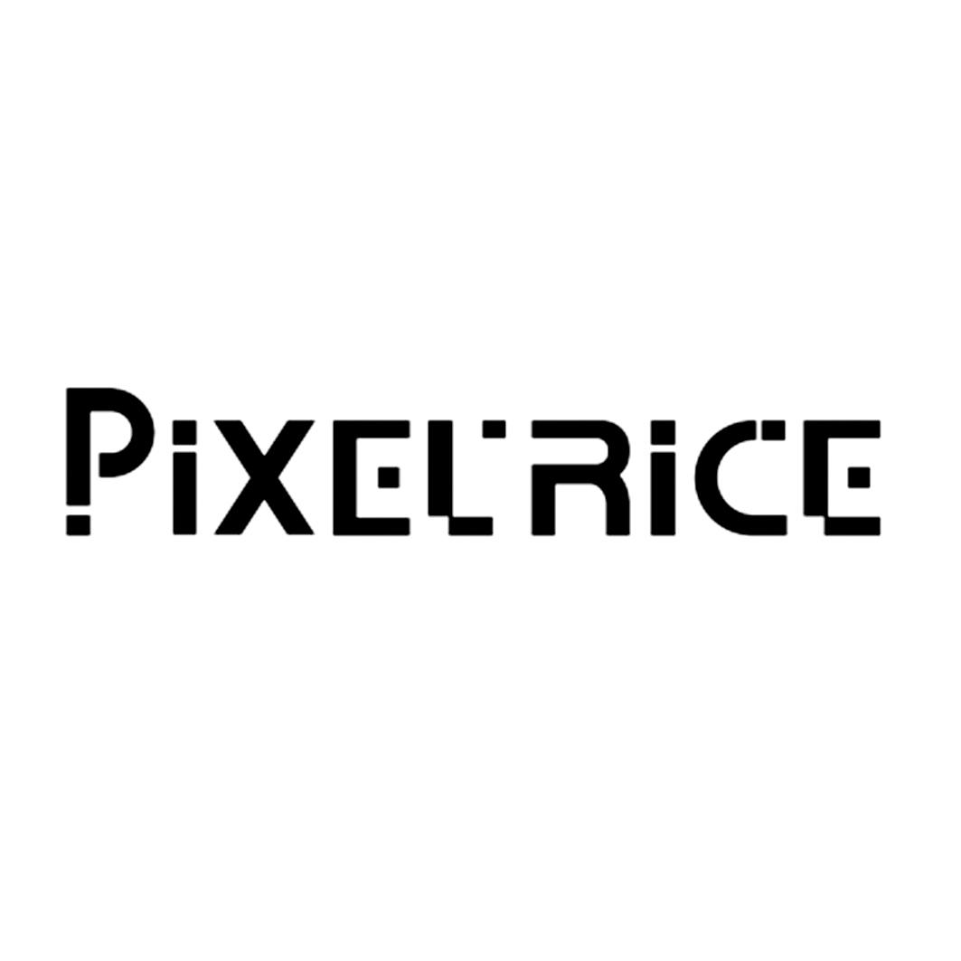 PIXEL RICE