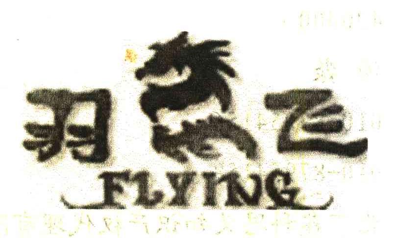 羽飞;FLYING