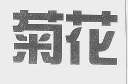 菊花