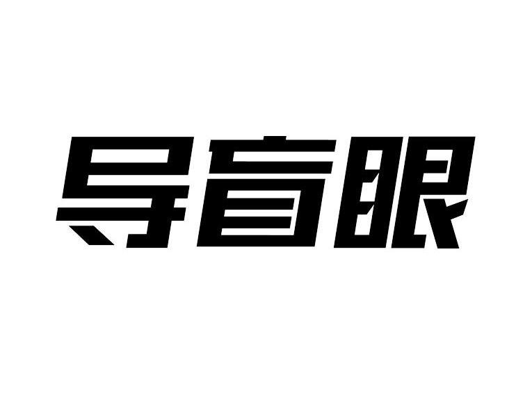 导盲眼
