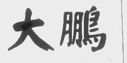 大鹏