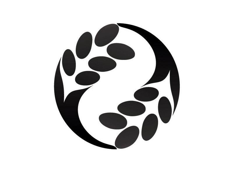 图形