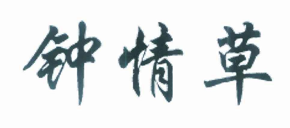 钟情草