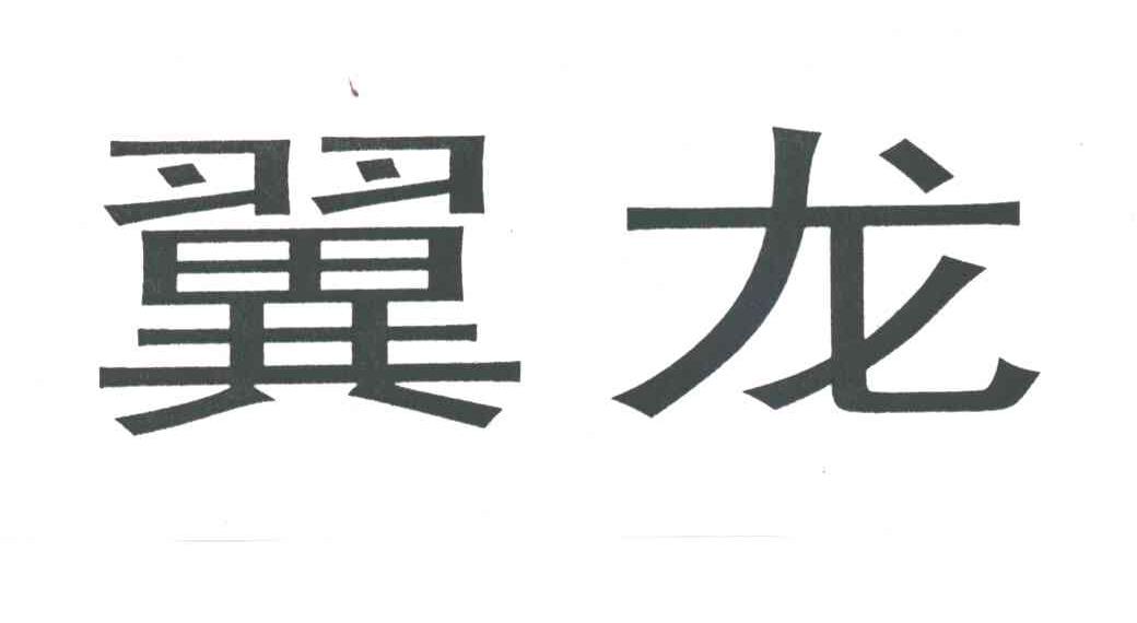翼龙