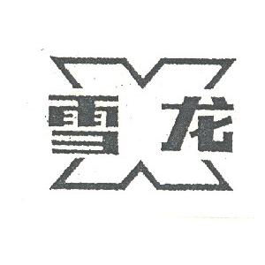 雪龙