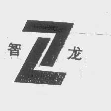 智龙