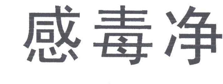 感毒净