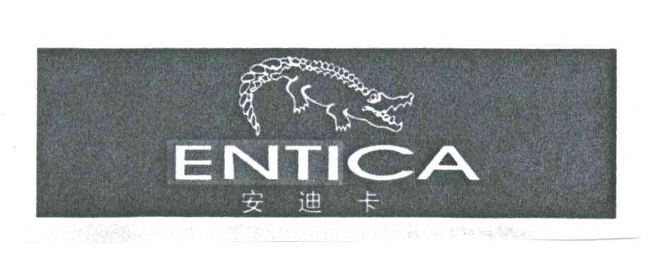 安迪卡ENTICA及图