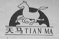 天马