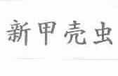 新甲壳虫