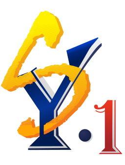 Y S 1