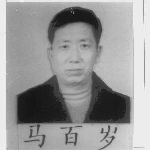 马百岁