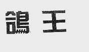 鸽王