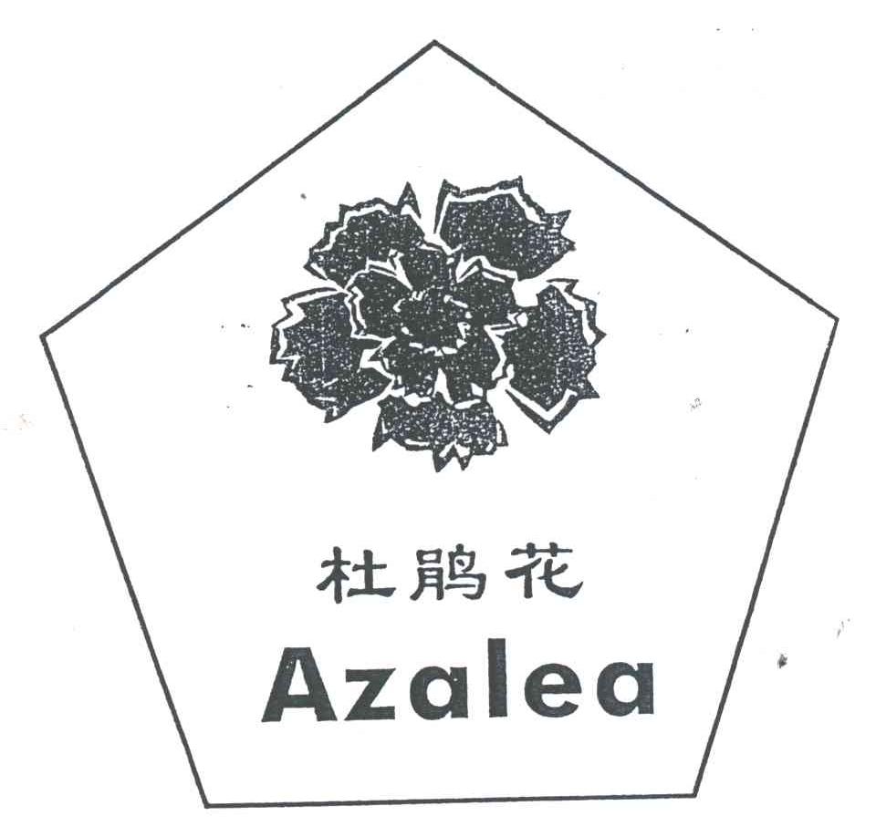 杜鹃花;AZALEA及图形